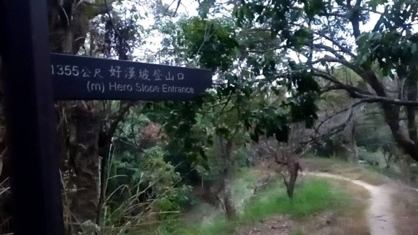 20221229 阿罩霧山 中心瓏步道 玉蘭谷 櫻花步道 大O型1975668