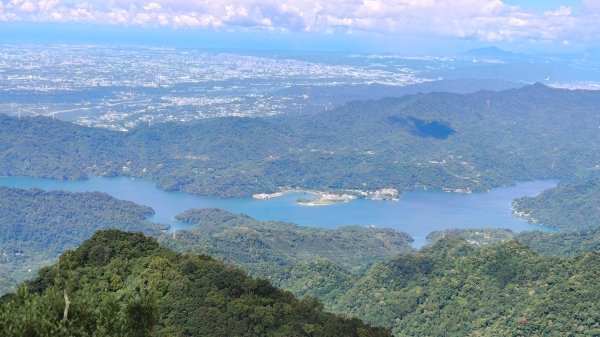 外鳥嘴蓮包山O縱2893198