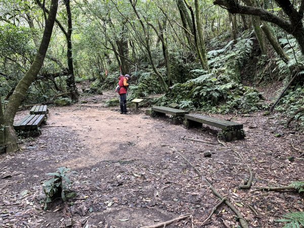 新北市 雙溪區 燦光寮古道-草山戰備道-貂山古道環形2044260