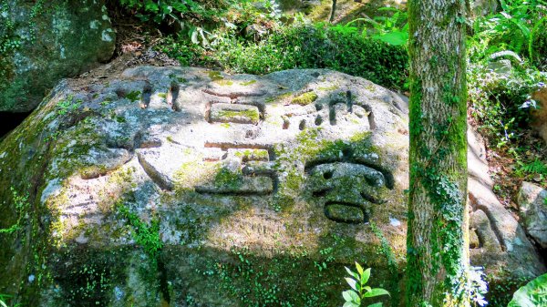 陽明山16草原之西線8草原2904062