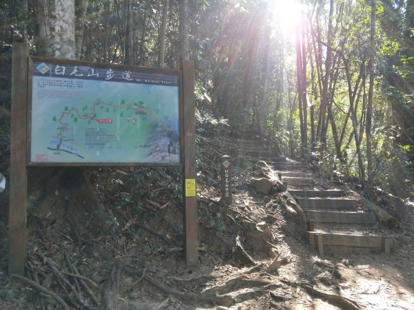 步道巡訪員│白毛山步道1月巡訪日誌812592