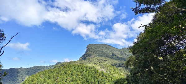 水田林道上外鳥嘴山-2025/10/10