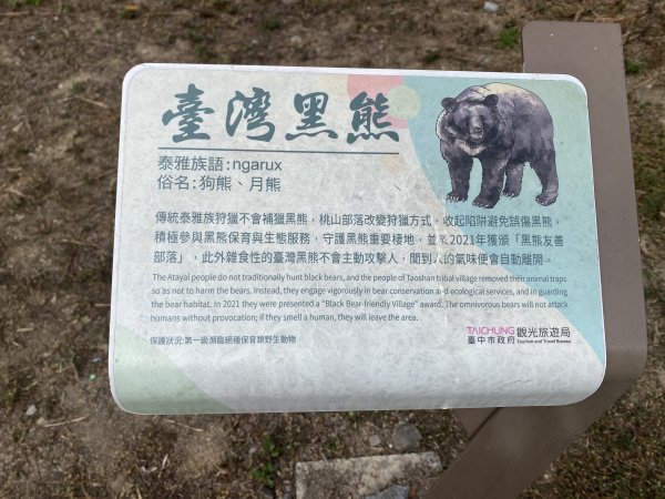 《雪山坑登山步道｜巨人之手森林秘境 Xueshankeng Hiking Trail & Giant2971157