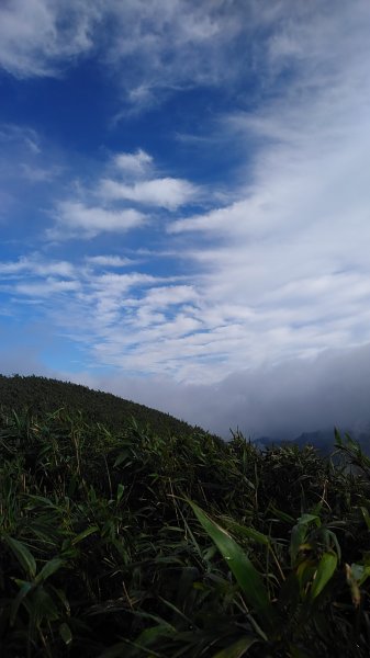 小觀音山群峰小O走757850