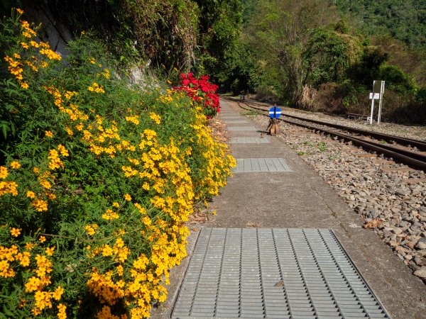 獨立山步道2961175