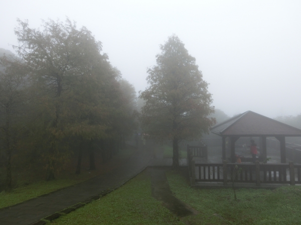 小油坑．中湖．夢幻湖．七星公園．冷水坑95033