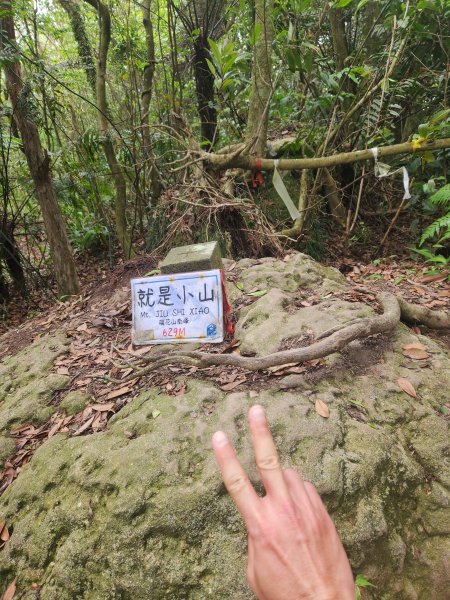 金面山-風櫃嘴折返跑2777501