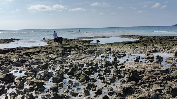 韓國濟州島：挟才海水浴場2912166