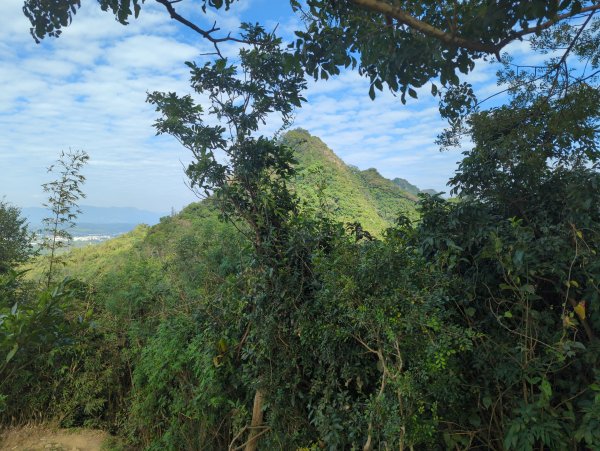 2024.12.21－旗尾山步道2677422