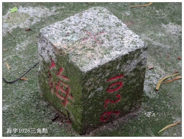 大甲/鐵砧山(小百岳)631033