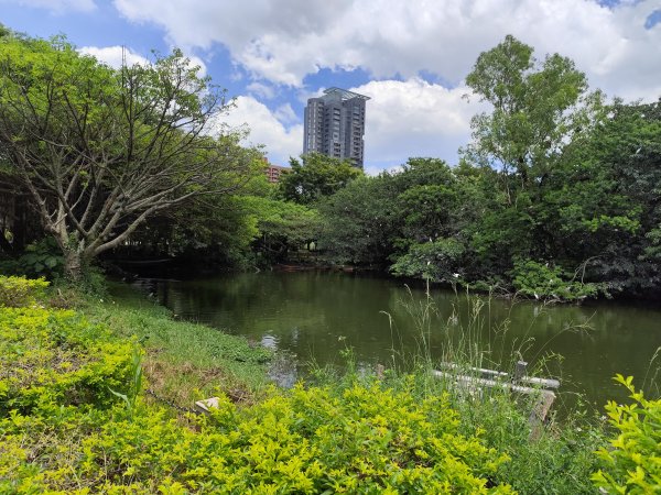 大安森林公園、大港墘公園【走路趣尋寶】【臺北健走趣】2556028