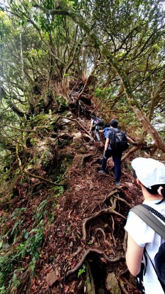 【中級山縱走】高島縱走（高台山，小島田山，中島田山，大島田山）2740962