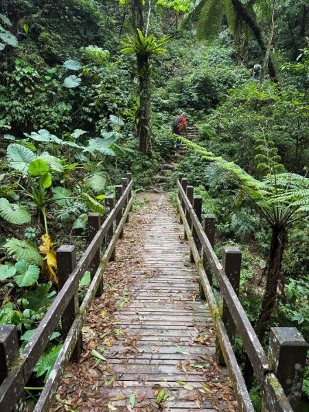 新竹五指山 - 指峰凌霄2768536