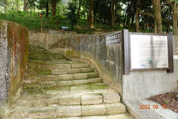 南投 鹿谷 尖子頂山(麒麟山)1841763