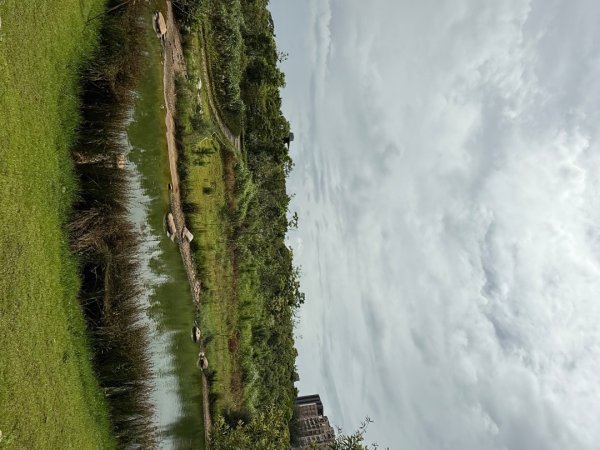 大湳森林公園2860328