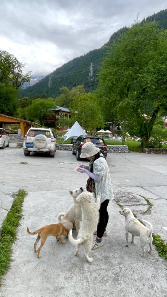 川藏深度之旅33天/A行程2902816