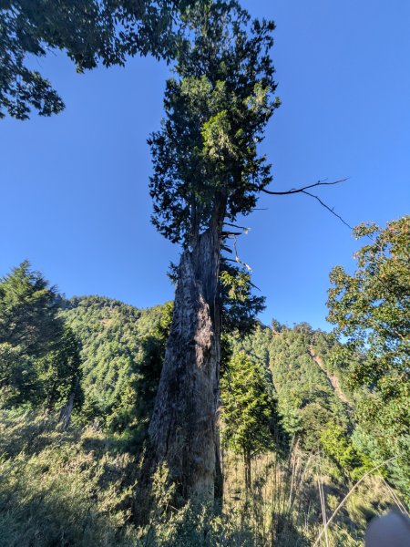 結界縱走三日(結城山、境界山、檜山)2920888