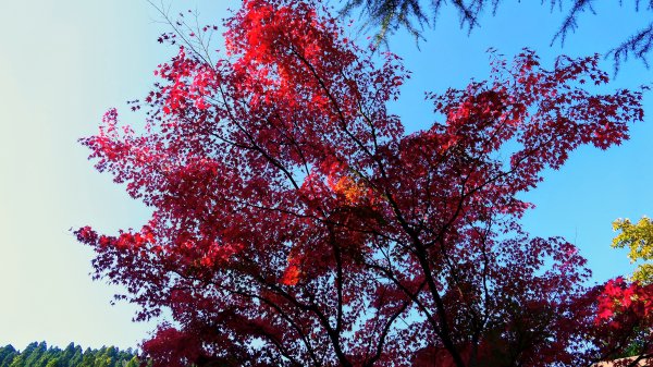 秋田縣八望台與生剝博物館2929751