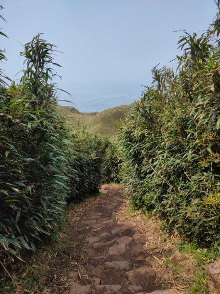 ［走遍陽明山］七星山+夢幻湖+人車分道2182653