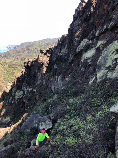 1070311 黃金五稜-劍龍嶺285356