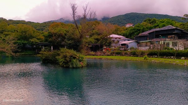 雲山水花鳥蝶-天龍國阿伯的日常 #翠鳥2641668