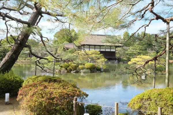 【海外健行】本山妙傳寺-平安神宮(御園)-哲學之道(大豐神社)散策1936071