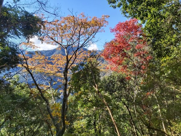 中級山-司馬庫斯2888970