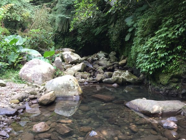 北五指山_坪頂古圳_內雙溪並荷蘭古道407158