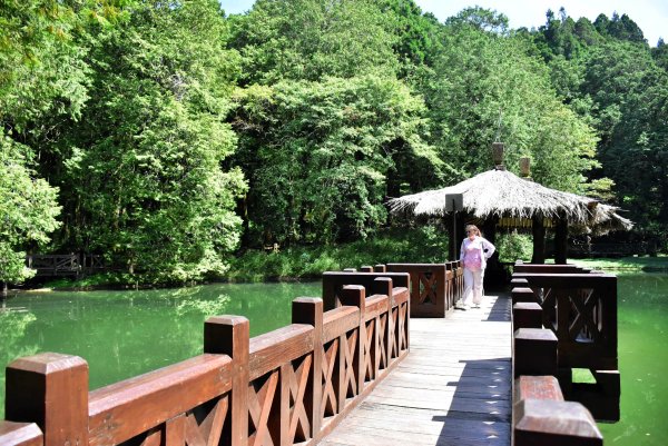 20251011追公車搭公車阿里山漫遊2910918