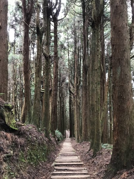 2019.12.21 特富野古道之旅799800