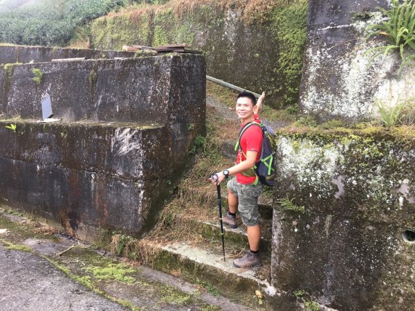 光輝燦爛慶雙十之大石公走到大崙山賞銀杏之旅435486