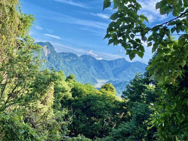 台中和平登觀音山東北峰.神谷山.遠藤山東峰.竹林.達觀山    2022/6/291749919