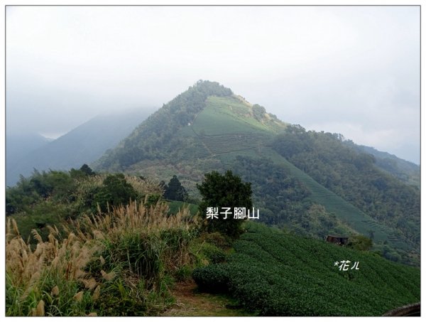 雲嘉五連峰縱走封面