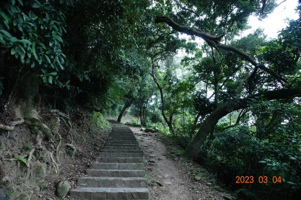 新竹 芎林 飛鳳山、中坑山、大板根、石壁潭山2052606