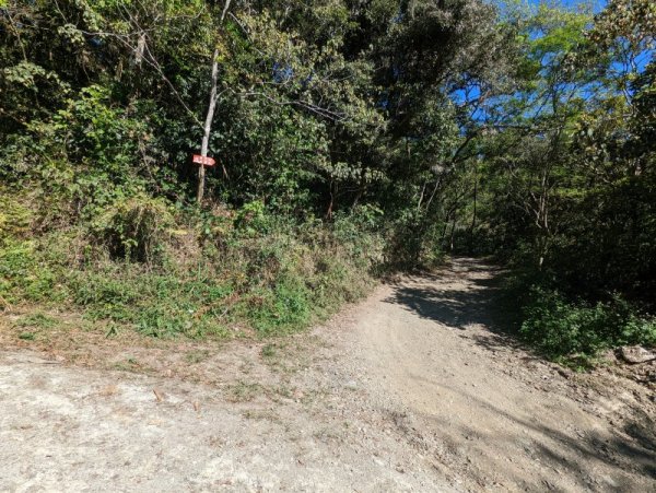 20251116_鳴海山（高雄小百岳）2941545