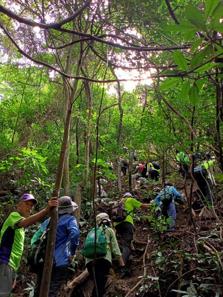 【大內連峰】大湖公園→內溝溪生態步道1727859