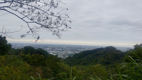 內樹尾、田中**山2708958