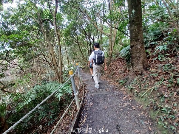 【台北士林】綠意森林芬多精。 No 8小百岳~大崙頭尾山親山步道2512870