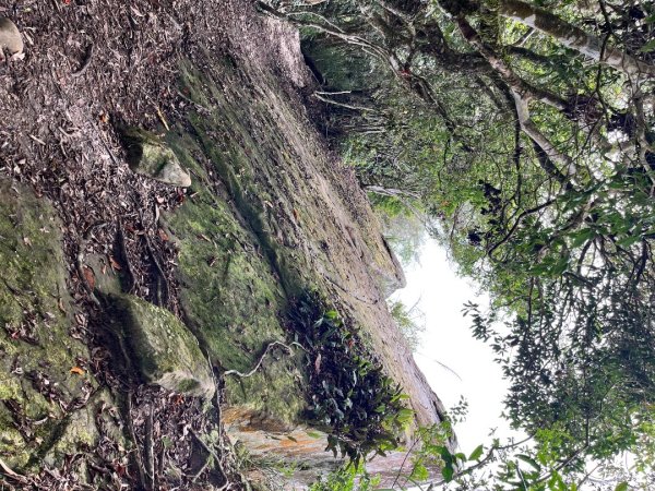 20251108_石壁山（雲林小百岳）2941455