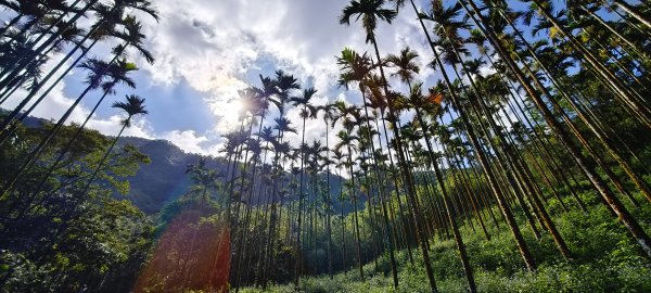 2025/08/30_華山山豬湖步道2876430