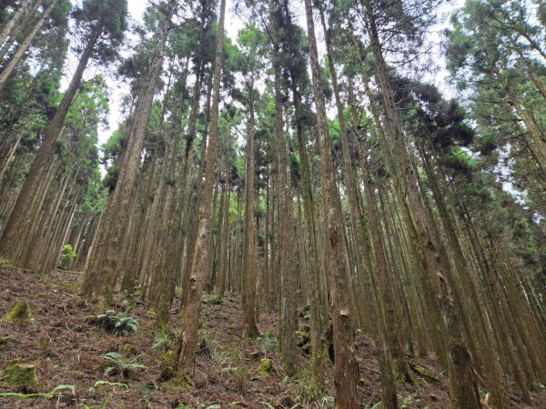 石山引水道2758970