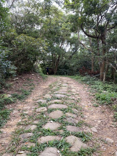 20250706-EP.07石光古道-2025森遊竹縣皮皮獅探險隊2851800