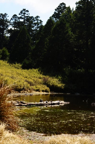 武法奈尾山天巒池872505