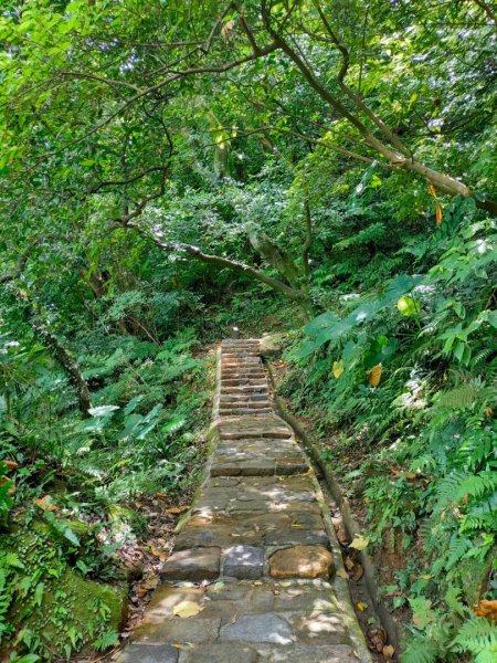 內湖郊山（鯉魚山+白鷺鷥山）（2023/9/23）2302535