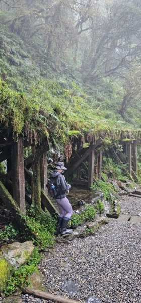 太平山翠峰湖見晴懷古步道2629006