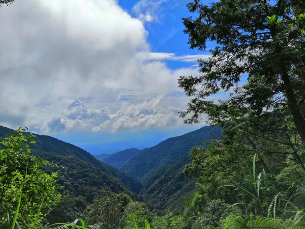 台中和平~優美林相森林浴。橫嶺山自然步道(木馬古道) 橫嶺山