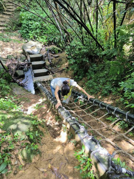 20250927微笑山線：【五分山系】望古瀑布段2896139