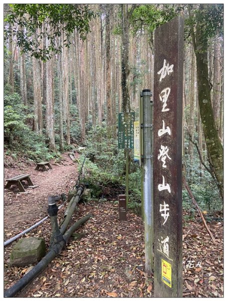 苗栗/加里山(小百岳)2501093