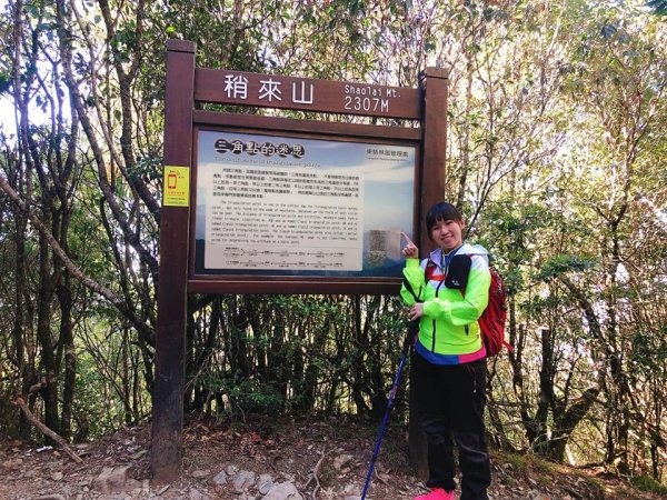108.12.14台中稍來山（紅榨槭，夕776877