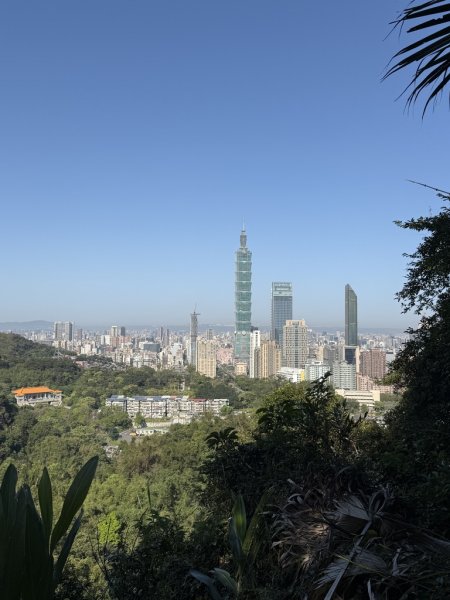 20250322四獸山步道2755457